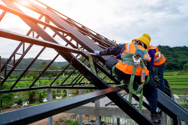 Best Flat Roof Repair Services  in Holcom, KS