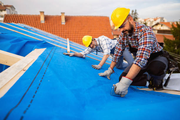 Best Storm Damage Roof Repair  in Holcom, KS