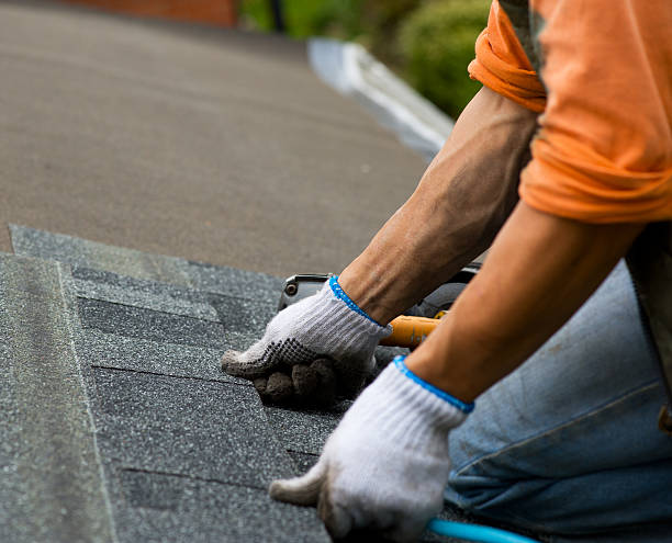 Best Shingle Roofing Installation  in Holcom, KS